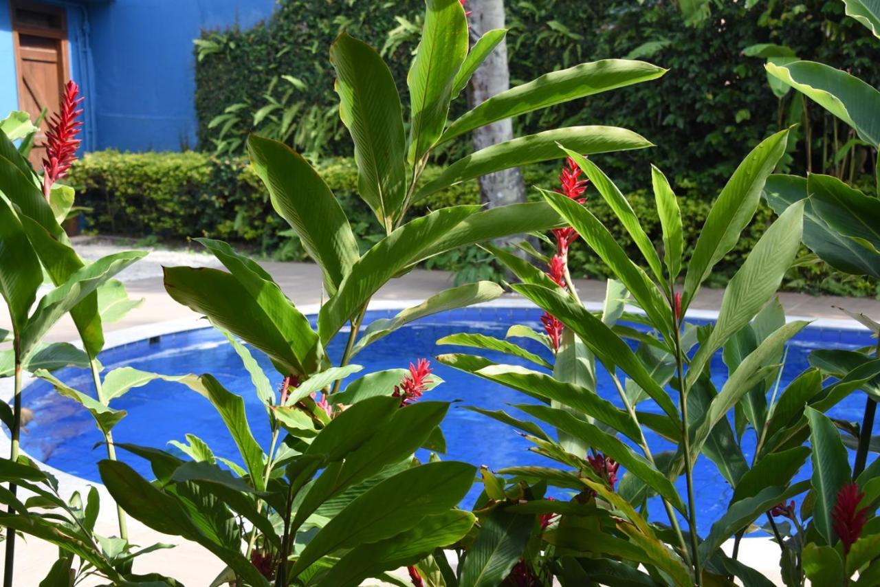 Pousada Verano Sao Sebastiao  Exteriör bild